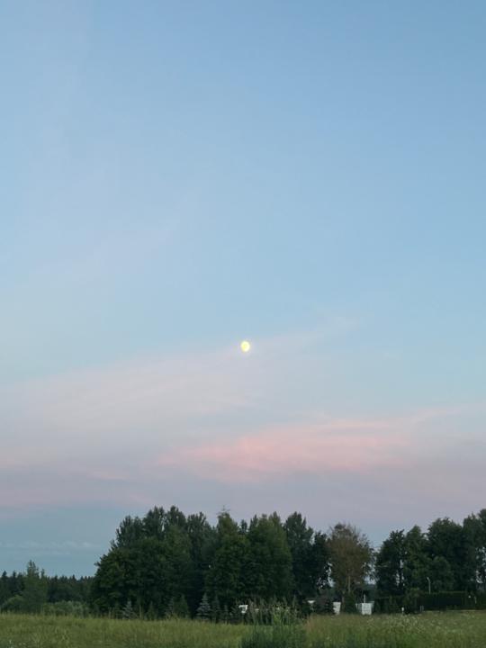 Bernardas Bansevicius