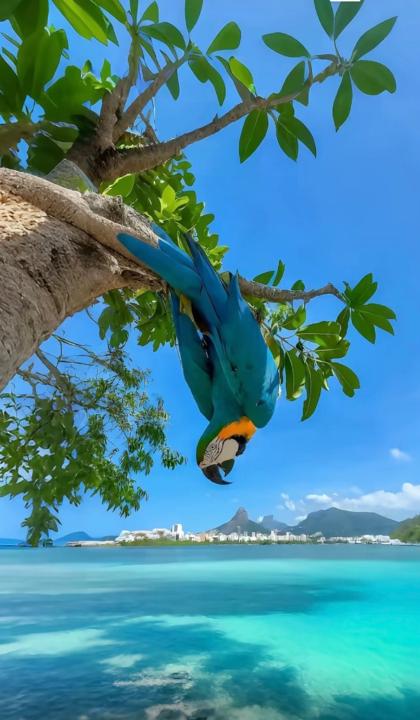 Tom Santiago jouannest