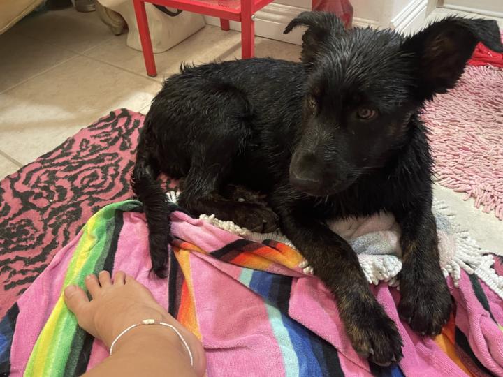 Halloween blessing? wtf??