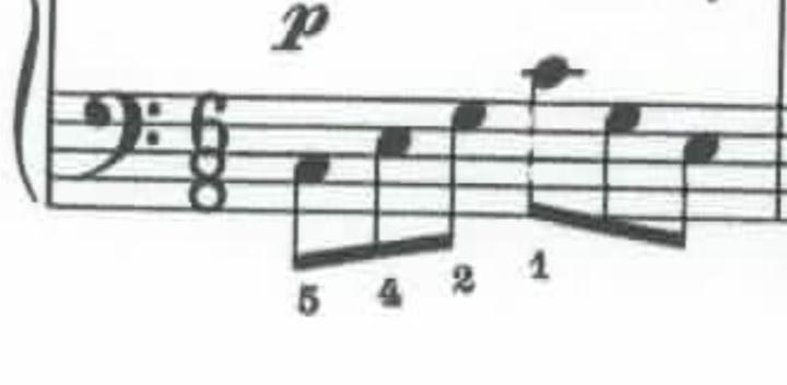 ✨🌟 Daily Tribe Gathering 🌟✨Bass Clef Quiz
