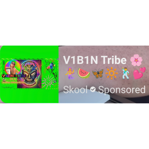 I see you V1B1N