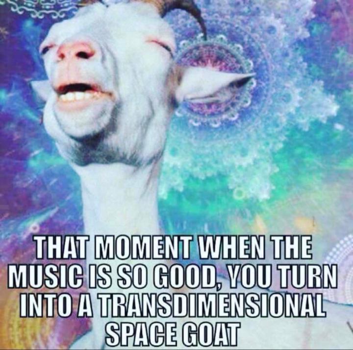 🤣 oh snap!!! Fun Friday!!! Duh 🙄 I was so consumed by our interactive workshop earlier on DJ equipment that totally blanked out! Share funnies!