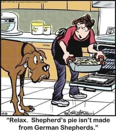 🤣 Fun Friday is on! Make a post w something funny!! Also Friday Tribe Fiesta is in 2 hours! 