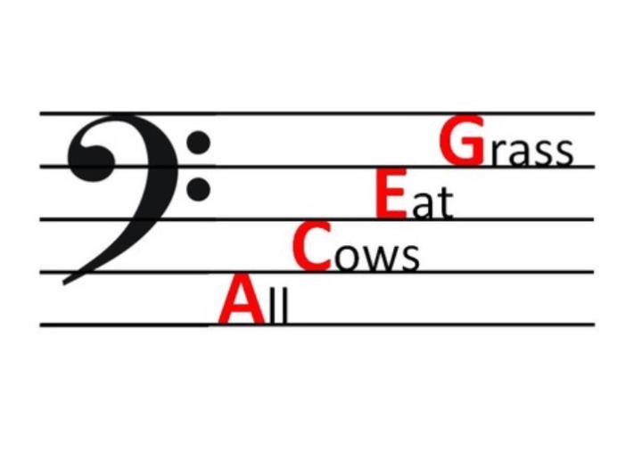✨🌟 Daily Tribe Gathering 🌟✨ All Cows Eat Grass 🐮
