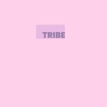 🌸 Tribe Fiesta (Conversion Without Convincing workshop w Katya takeover) starts in an hour! Who’s comin?!