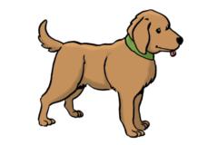 Benjamin Kudick-Lacher