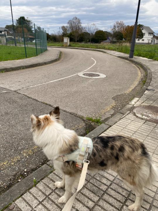 Lorenzo Días Valles