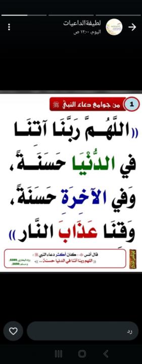 أم ماهر فيفي