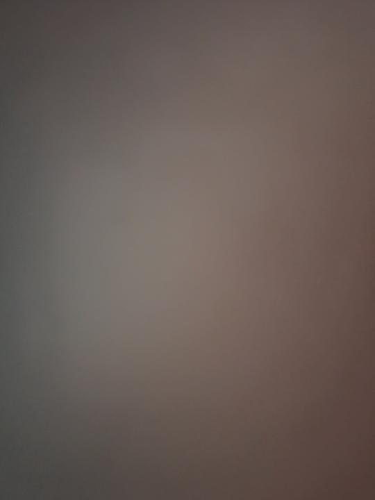 Bragadireanu Danut Stefan