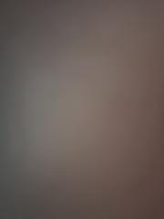 Bragadireanu Danut Stefan