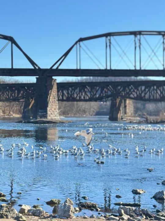 Leticia Reyes Tavarez