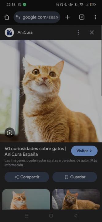 Eva Catalán Serrano