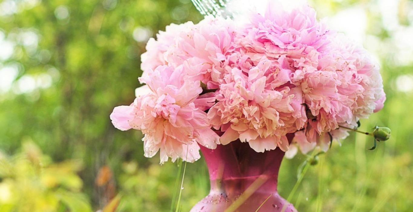 Soil Basics for Michigan Gardens