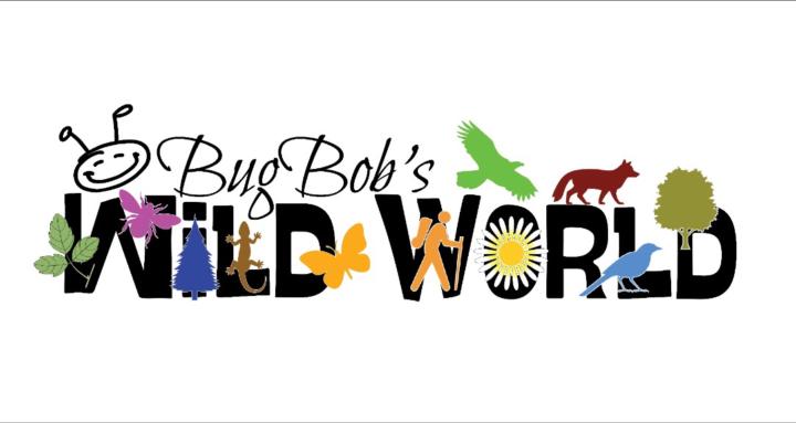 BugBob's WildWorld