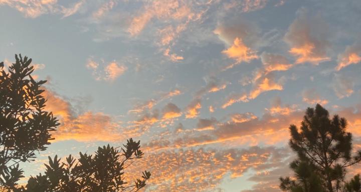 Christ Consciousness