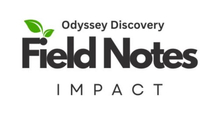 Field Notes: Impact