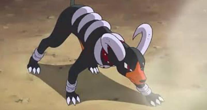 Pokémon Team Building Academy