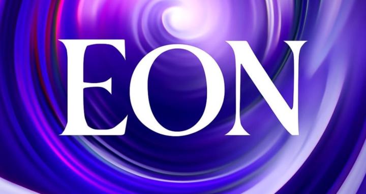 EON, Essence of Ninja Guild