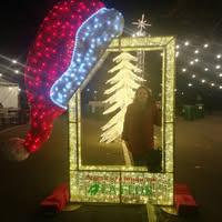 Диляна Медарова