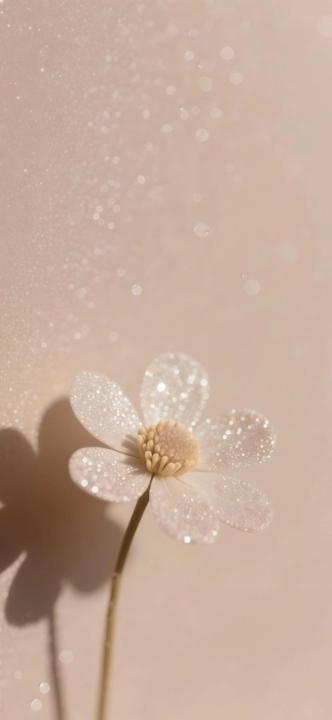 Faiza N.