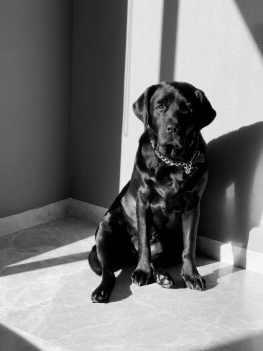 Rodrigo Jimenez Barri