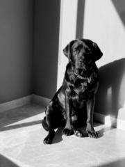 Rodrigo Jimenez Barri