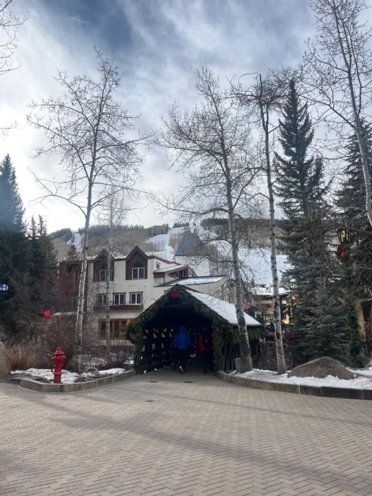 Donna Randrianjohary