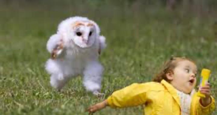 The Patio — Lyme Community