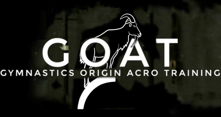 Functional Gymnastics