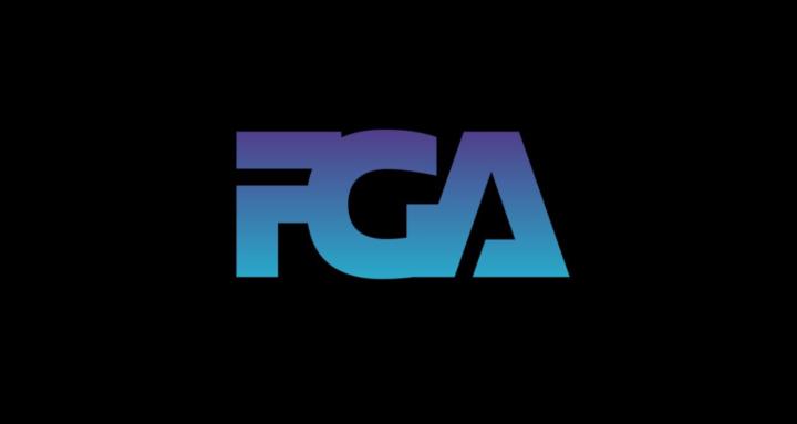 Functional Gymnastics Academy