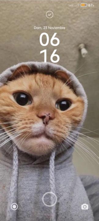 Rogger David Pérez Documet