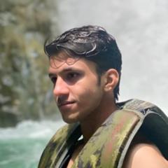 Muhammad Sheharyar