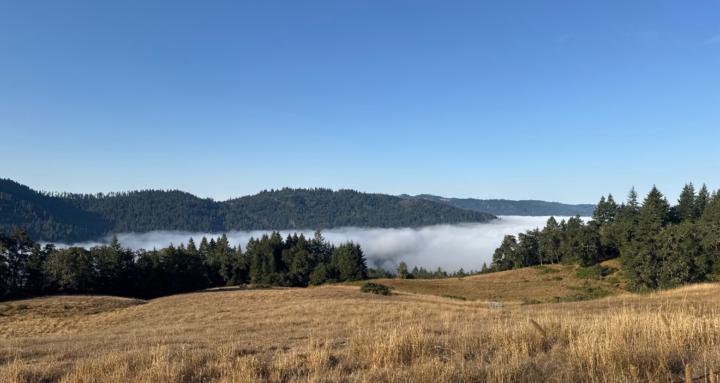 Sill Hunting and Fishing