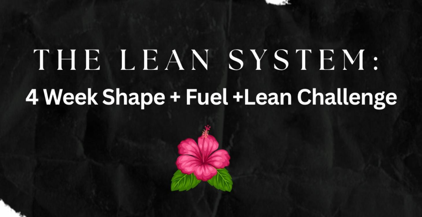 The Get Lean System