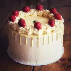 Rocio Noemi De los Santos Castillo