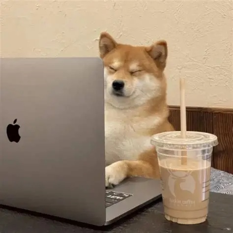 全 李