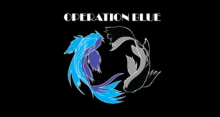 Operation: Blue