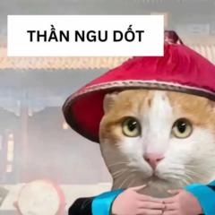 Minh Nhat