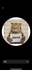 Jingchun Xue