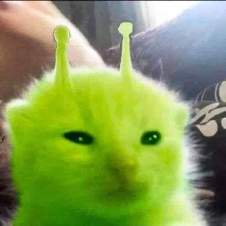 A J