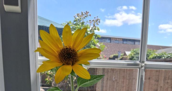 Live Light Decluttering