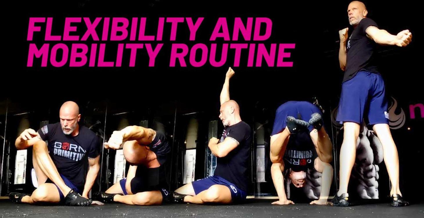 Mobility For Beginners To Advanced