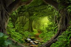 Angel Miguel Satmiento