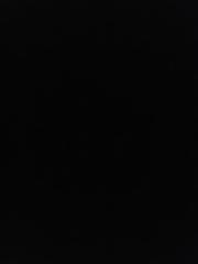 Ash T