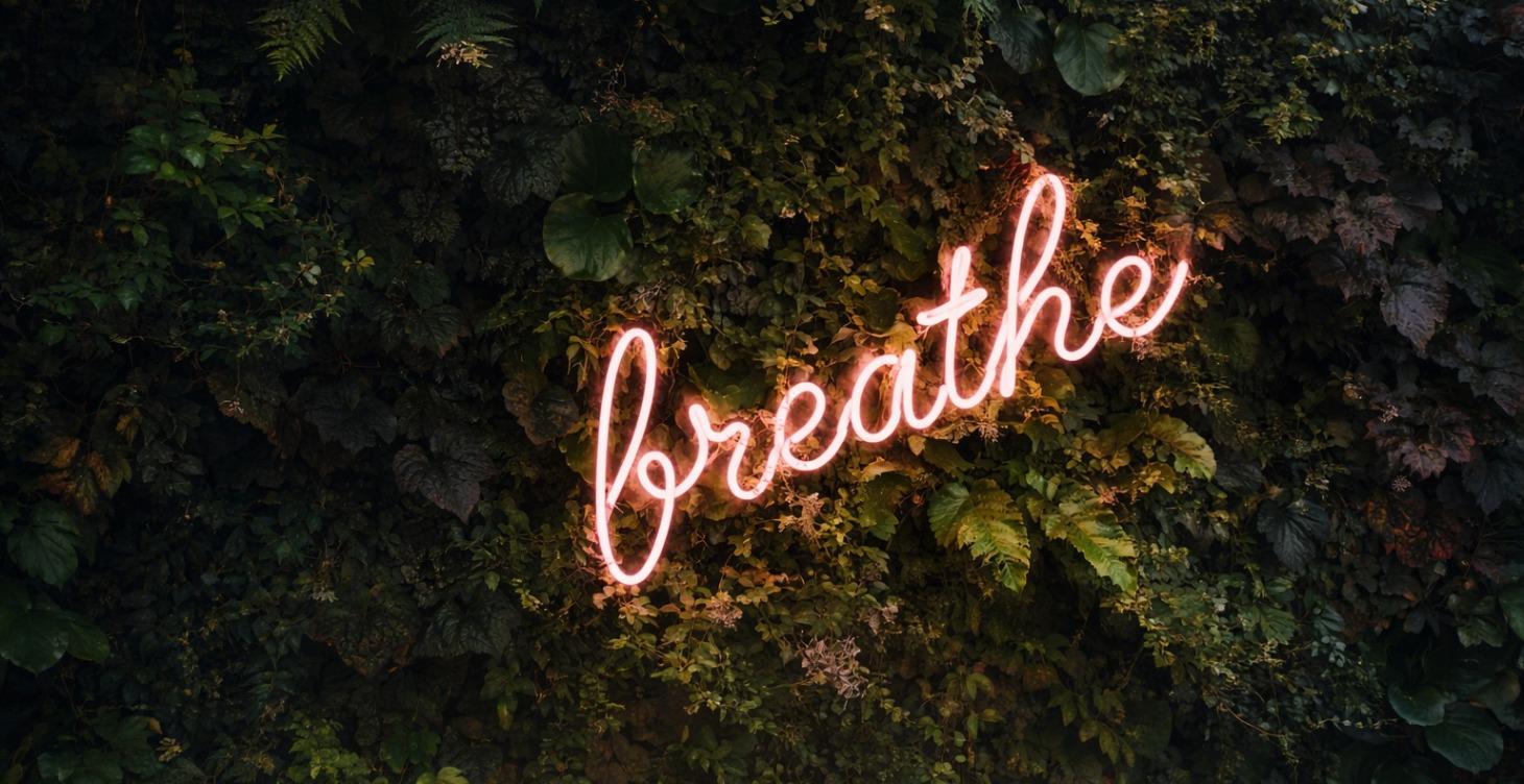 Powerful Breathwork Sessions 🔥