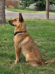 Jennifer Scott-Green