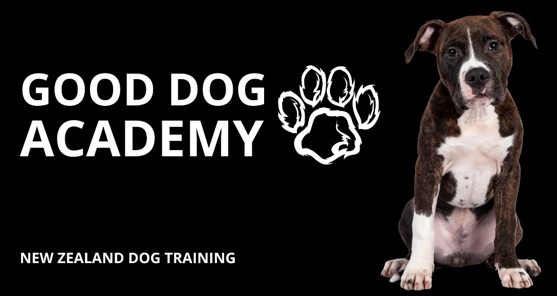 Good Dog Academy