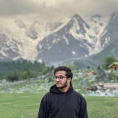 Wajahat Ali