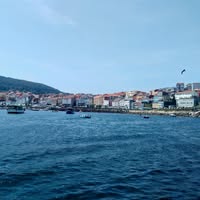 Marion Brn