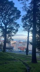 Gael Figueiras Alonso